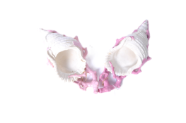PAIR ROYAL WORCESTER PORCELAIN CONCH SHELL WALL MASKS