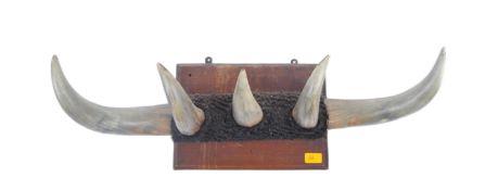 VINTAGE WALL MOUNTED BUFFALO HORN PLAQUE