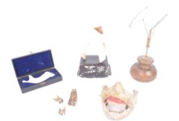 DENTAL INTEREST 20TH CENTURY DENTAL EDUCATION ACCESSORIES