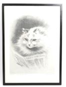 1975 FELINE ADVISORY BUREAU LIMITED EDITION PRINT BY LOUIS WAIN