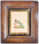 19TH CENTURY EMBOSSED RAISED PAINTING OF A PEACOCK