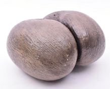 COCO DE MER SHELL NUT (LODOICEA MALDIVICA), UNPOLISHED