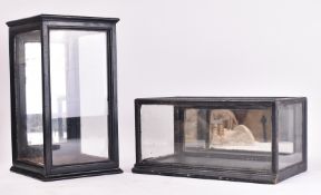 TWO LATE VICTORIAN EBONISED WOOD GLAZED DISPLAY CASES