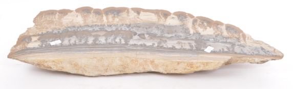 MINERAL SPECIMEN - LARGE AGATE SANDSTONE ROCK EXAMPLE