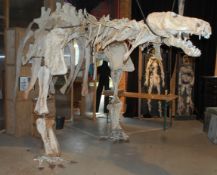 FORKBEARD FANTASY - PROCEEDS TO FORKBEARD ENDOWMENT FUND