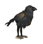 FORKBEARD FANTASY - PROCEEDS TO FORKBEARD ENDOWMENT FUND