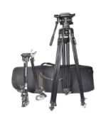 FORKBEARD FANTASY - PROCEEDS TO FORKBEARD ENDOWMENT FUND