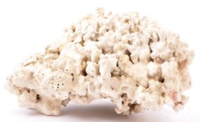 LARGE PIECES OF DECORATIVE BLEACHED BRANCH CORAL