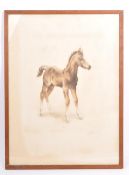 1970S HORSE FOAL FRAMED AND GLAZED PENCIL SKETCH EBERHARDT?