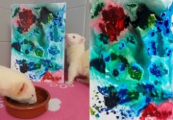 BRISTOL ANIMAL RESCUE CENTRE - ANIMAL ARTWORK AUCTION