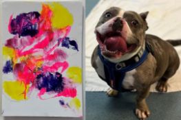 BRISTOL ANIMAL RESCUE CENTRE - ANIMAL ARTWORK AUCTION