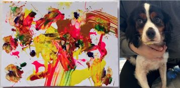 BRISTOL ANIMAL RESCUE CENTRE - ANIMAL ARTWORK AUCTION