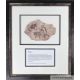 Banksy 'Peckham Rock' postcard 2018 - Image 1 of 3