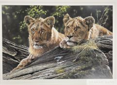 Steve Burgess 'The Young Pretenders', 2002