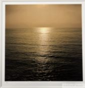 Peter Fellows 'Reflection' 2005