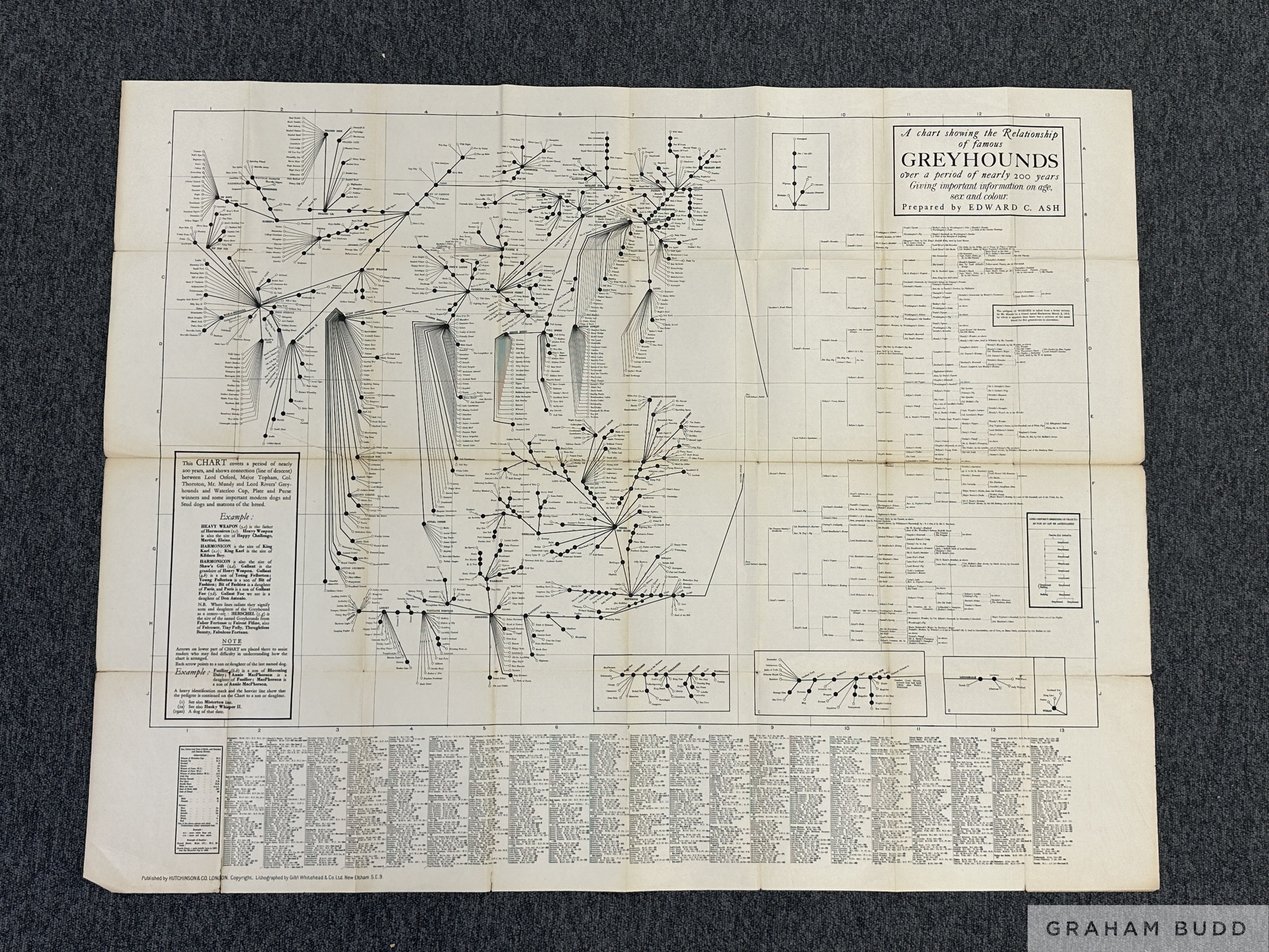 Edward C. Ash's Greyhounds Pedigree Chart over a period of nearly 200 years,