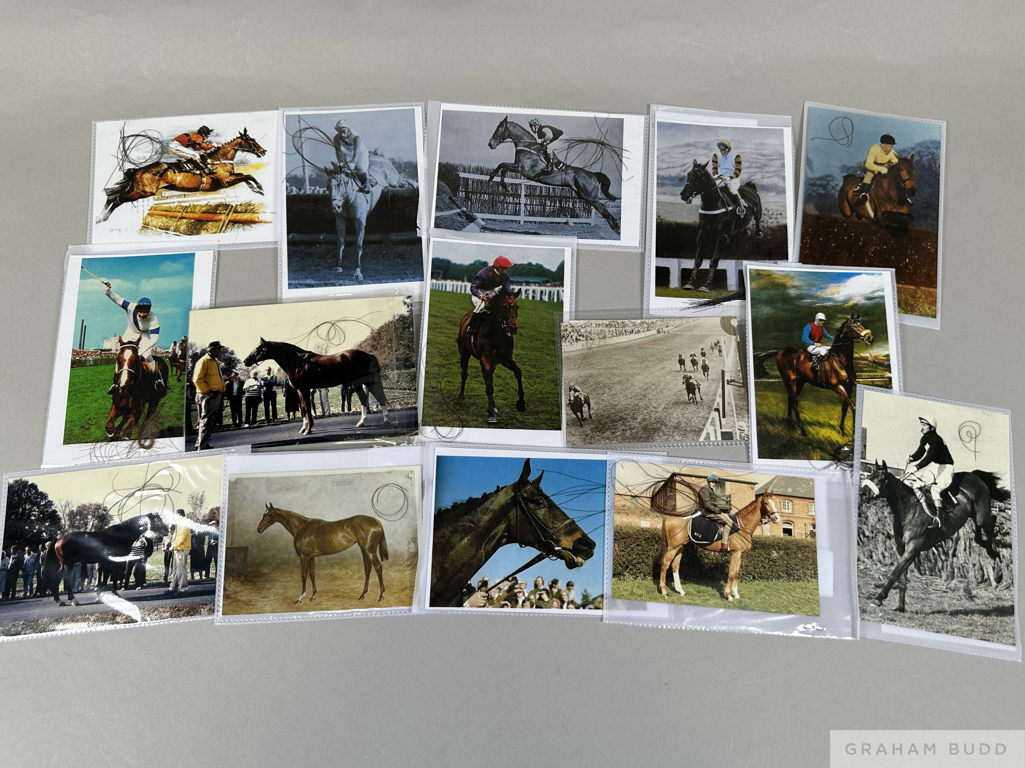 Fifteen hair trophies from famous racehorses from the  collection of the racing historian Michael