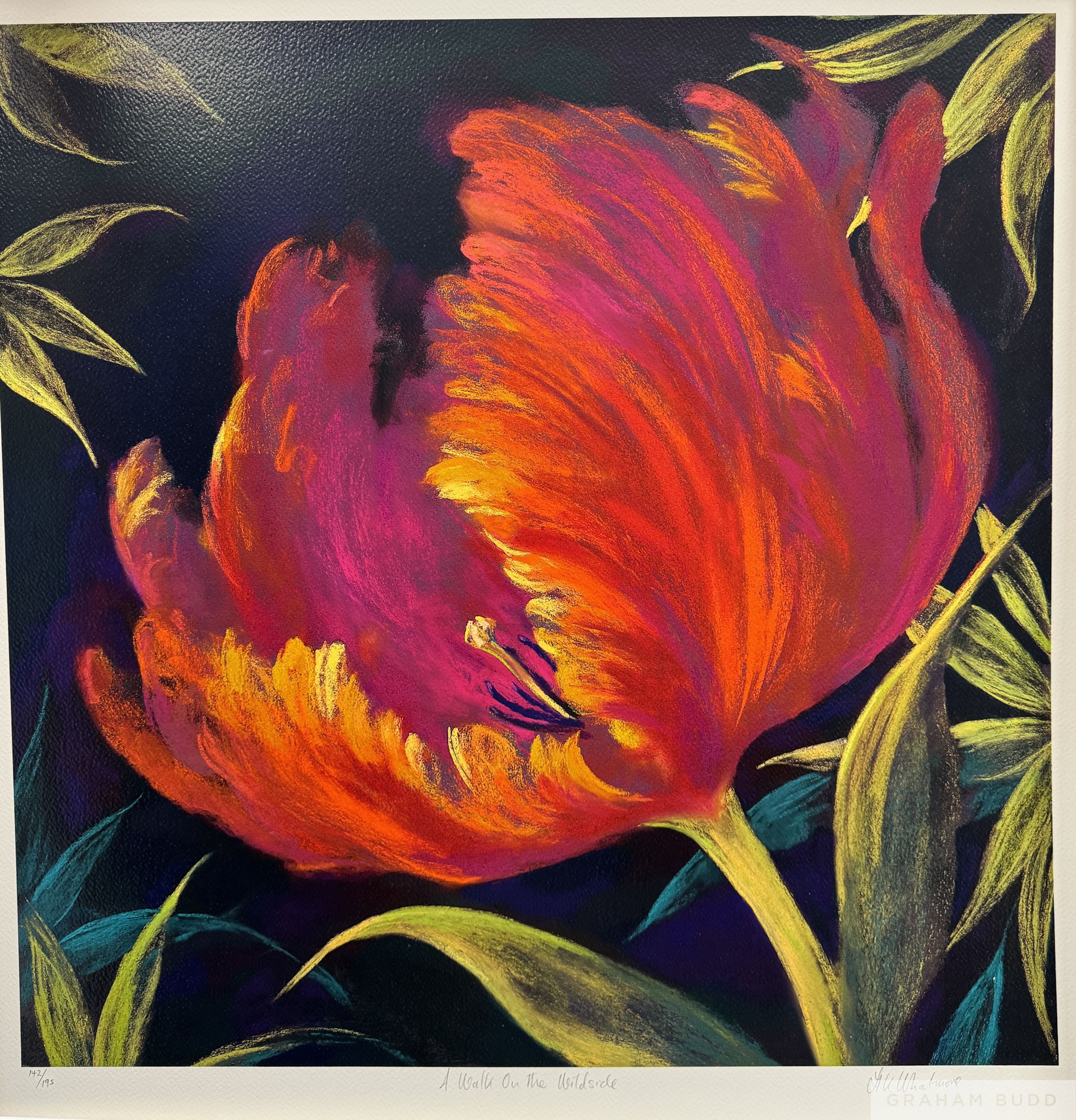 Nel Whatmore 'Walk on the Wild Side, 2006