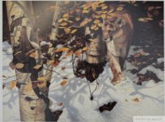 John Seerey-Lester 'Early Snow Cougar', 1997