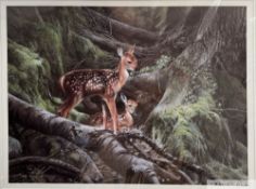 Kevin Daniel 'Awakening', 1996