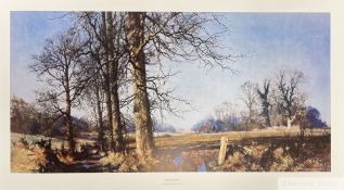 David Shepherd CBE FRSA FGRA 'March Sunlight', 1991