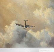 David Shepherd CBE FRSA FGRA 'Immortal Hero' 1993