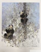 David Shepherd CBE FRSA FGRA 'Winter in Wolong', 2003