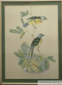 Anonymous 'Two Birds'
