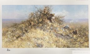 David Shepherd CBE FRSA FGRA 'The best spots on the hill', 2002