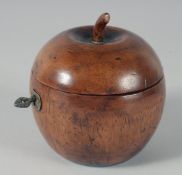 A GOOD APPLE WOOD TEA CADDY, 10 cm.