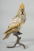 A COLD PAINTED BRONZE COCKATOO ON A STAND, 30 cm high.