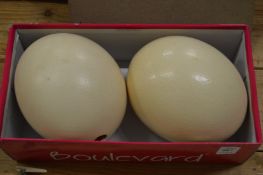 Two emu eggs.