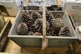 A wooden trug containing pine cones.