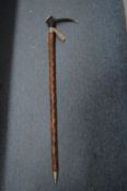 A good horn handled alpine walking stick.