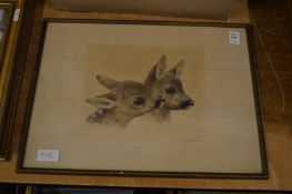 An etching of young deer heads.
