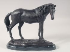 A BRONZE MODEL OF A STANDING HORSE on a marble base. 10ins long