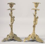 A PAIR OF 19TH CENTURY FRENCH BRONZE SQUIRREL CANDLESTICKS. 11ins high.