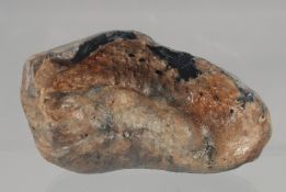 A FOSSILISED WHALES EAR DRUM.2.5ins.