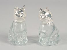 A PAIR OF NOVELTY GLASS AND SILVER-PLATED SALT AND PEPPERS, modelled as seated cats.