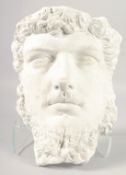 A PLASTER CAST OF ZEUS. 14ins