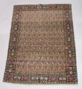 A GOOD PERSIAN CARPET, cream ground with an all over design of stylised Boteh, attached label; Barin