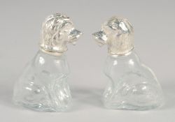 A PAIR OF NOVELTY GLASS AND SILVER-PLATED SALT AND PEPPERS, modelled as seated dogs.