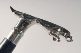 A WALKING STICK WITH CHROME HANDLE modelled as a Jaguar car mascot.