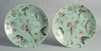 A PAIR OF CHINESE FAMILLE ROSE PLATES, painted with birds and butterflies, (af), 25.5cm diameter.