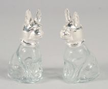 A PAIR OF NOVELTY GLASS AND SILVER-PLATED SALT AND PEPPERS, modelled as seated dogs.