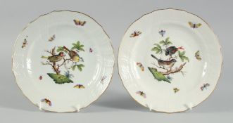 A GOOD PAIR OF HEREND PORCELAIN PLATES, painted with birds and insects. 8.5ins diameter.