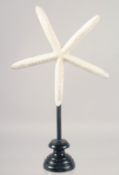 A STAR FISH SPECIMEN on a stand. 8ins high.