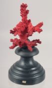 A RED CORAL SPECIMEN on a stand 5ins high.