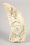 A SCRIMSHAW WHALES TOOTH 