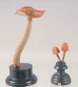TWO MUSHROOM SPECIMENS on stands. 6ins &2.5ins high.